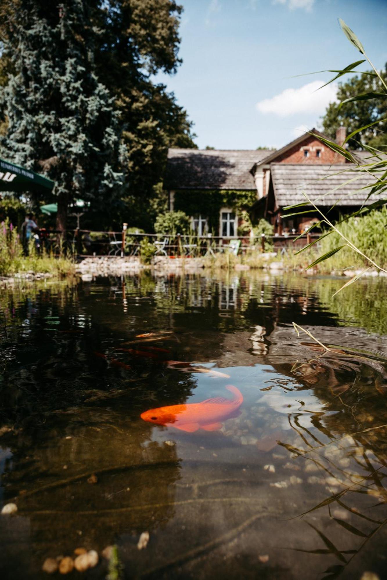 Hotel Kolonieschanke ブルク エクステリア 写真